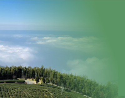 慢遊雲林  邀您一起解鎖雲林  FUN心智遊